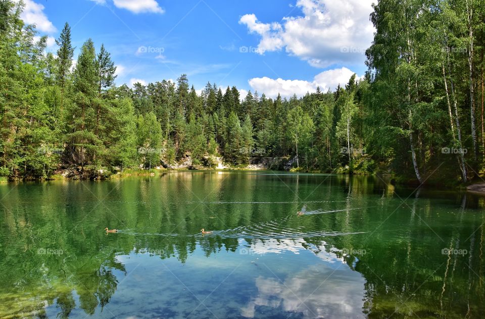 lake view in adrspach national park in Czech republic
