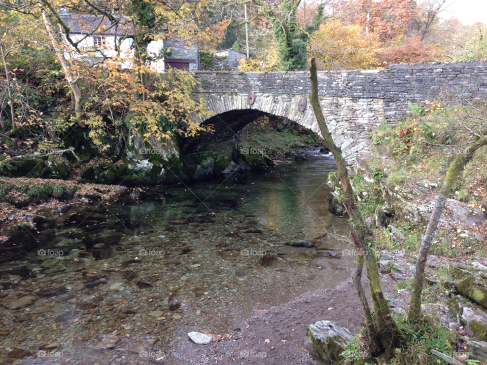 autumn river bridge by tcutbush