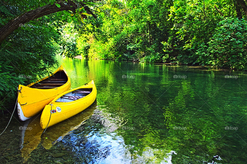 Two yellow canoes moored in the river with green reflections that flows slowly in the forest