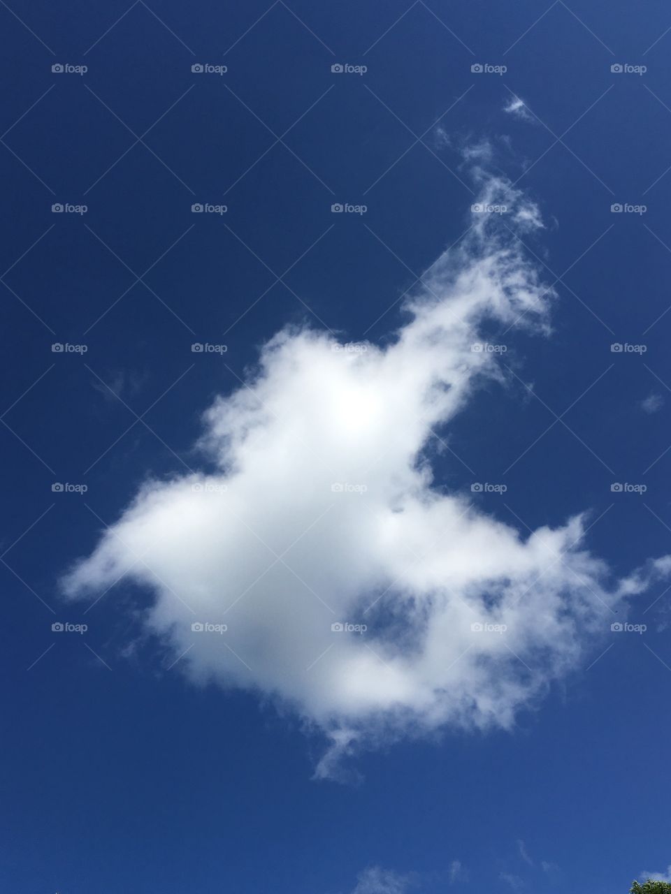 Cloud in the sky 