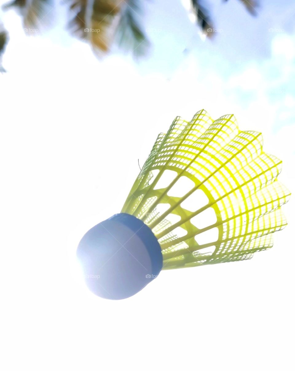Shuttlecock