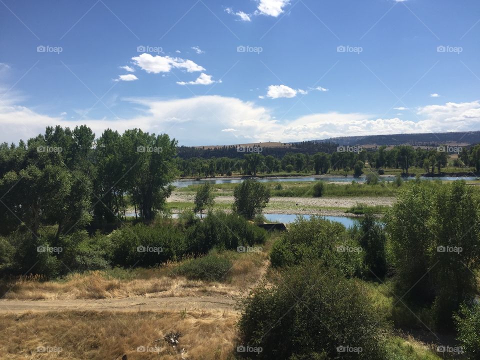 Landscape, Tree, No Person, River, Water