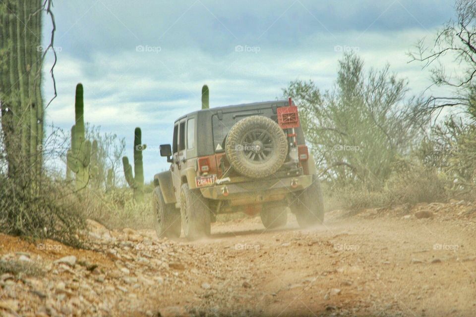 Box Canyon Trail - Florence, AZ