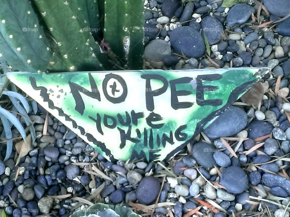 No Pee