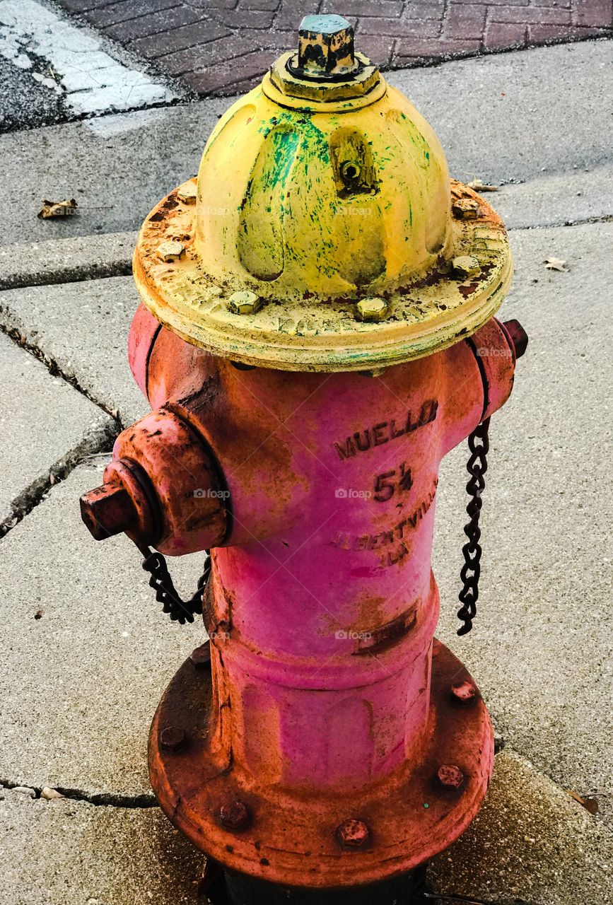 Colorful Fire Hydrant