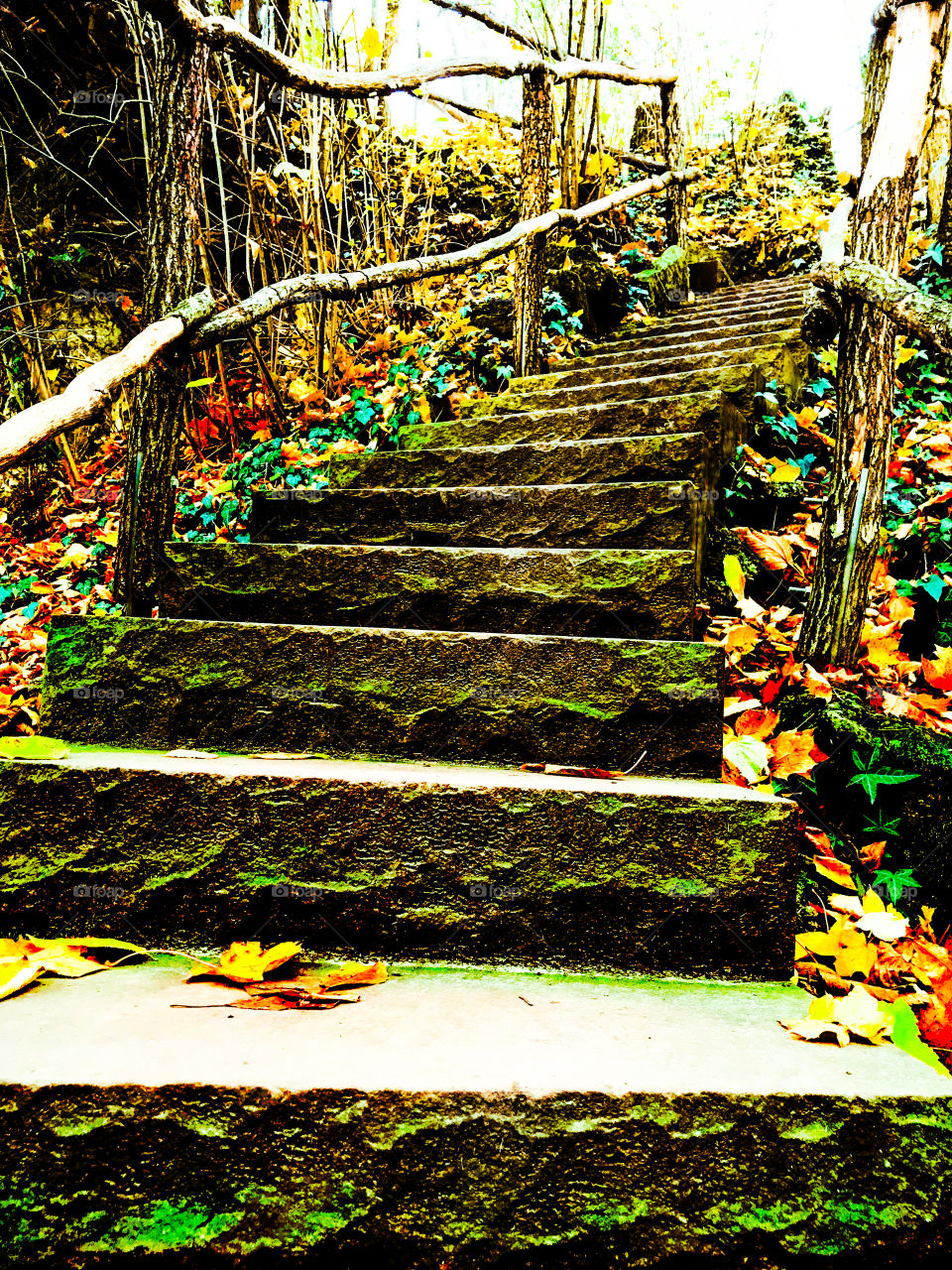 There will be always a way