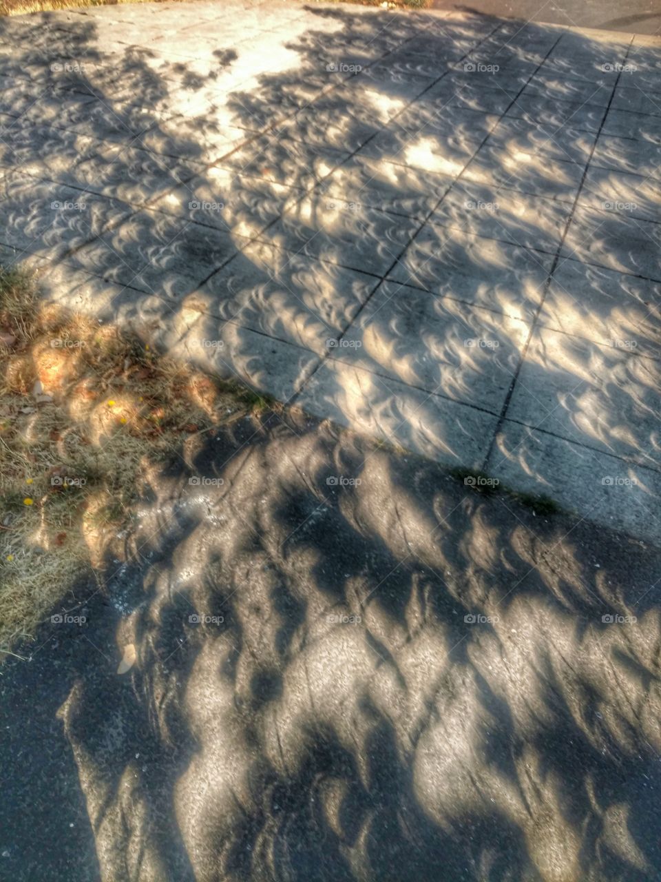 crazy eclipse  shadow