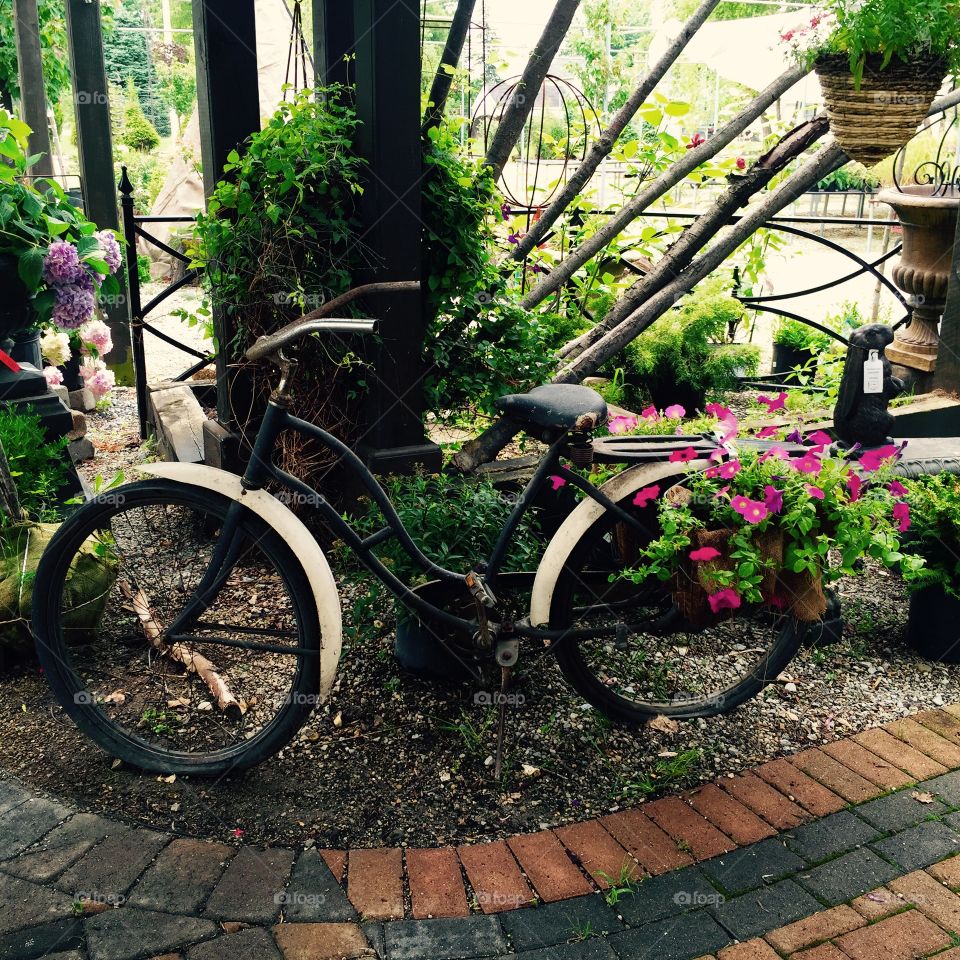 Old Bicycle Planter