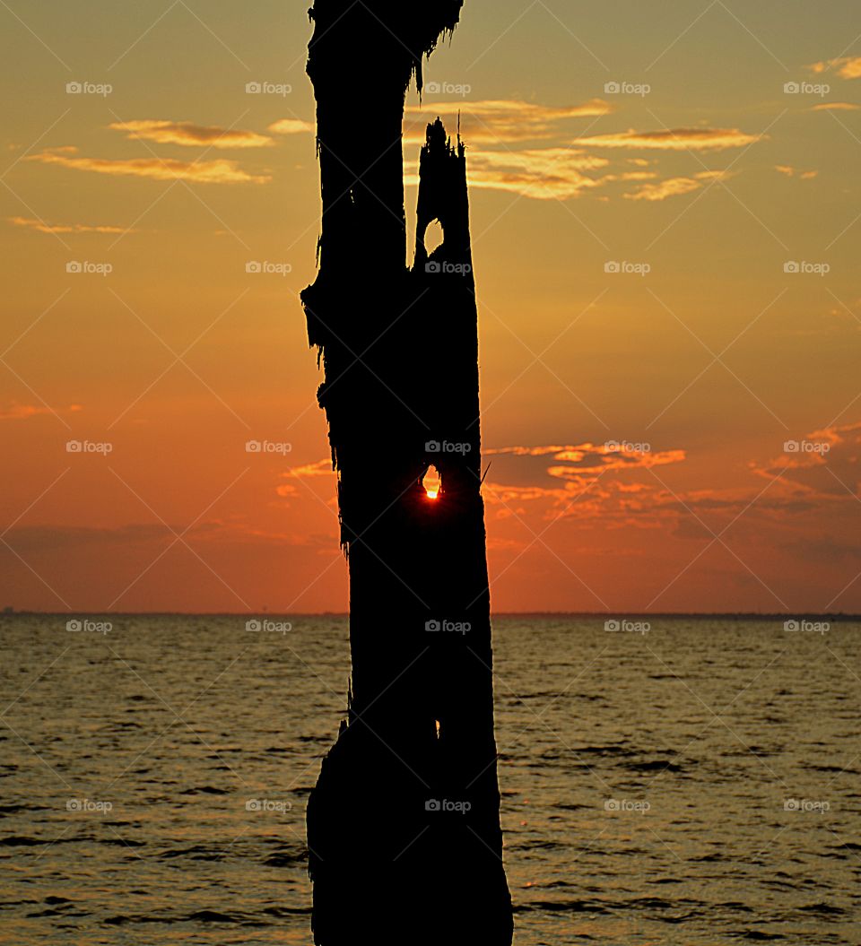 Beautiful sunset peeping through a hole in the old tree