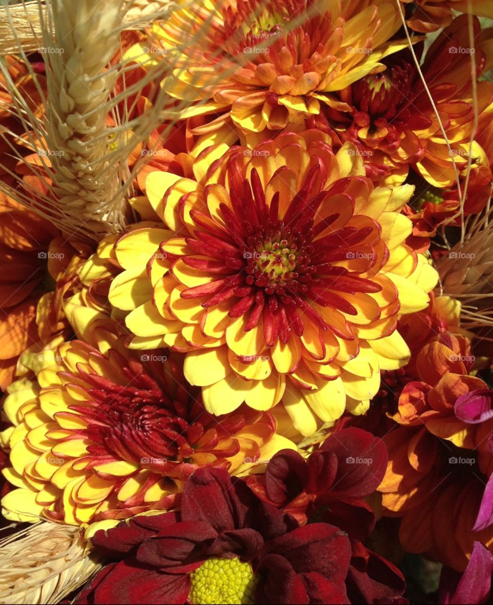 colorful fall theme flower arrangement.