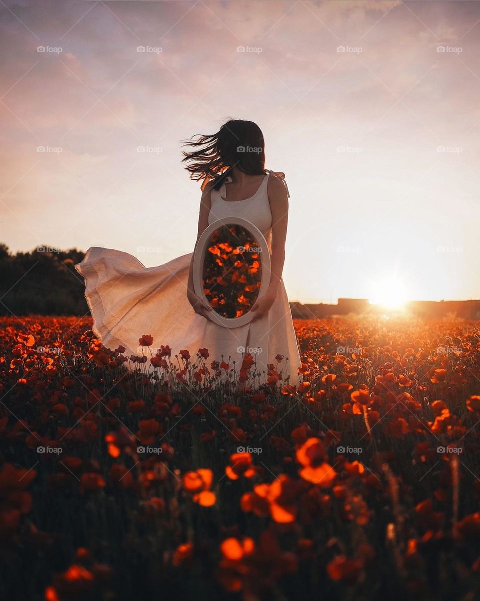 nice red flowers, nice poppies, beautiful scene