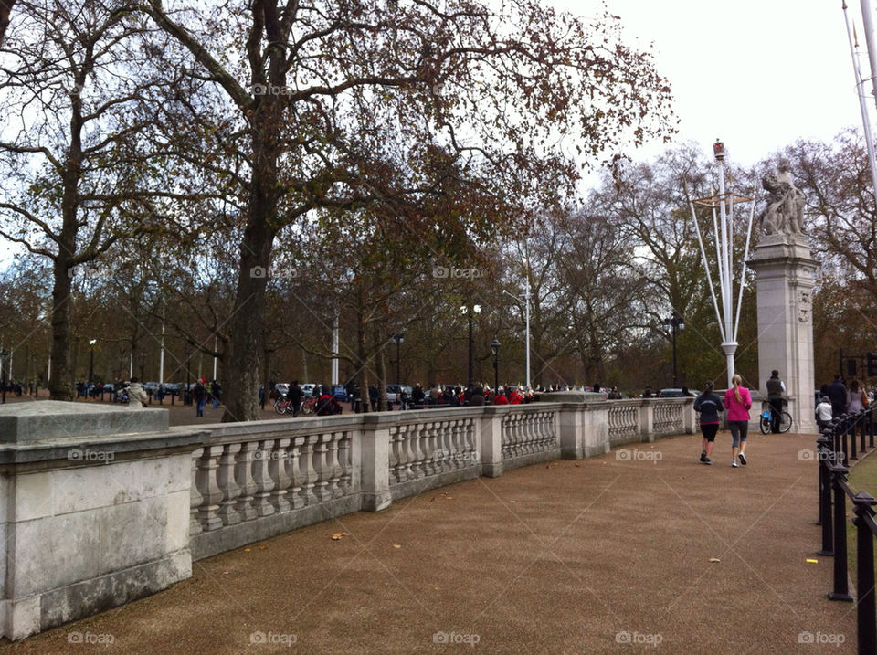 winter london trees palace by remalia