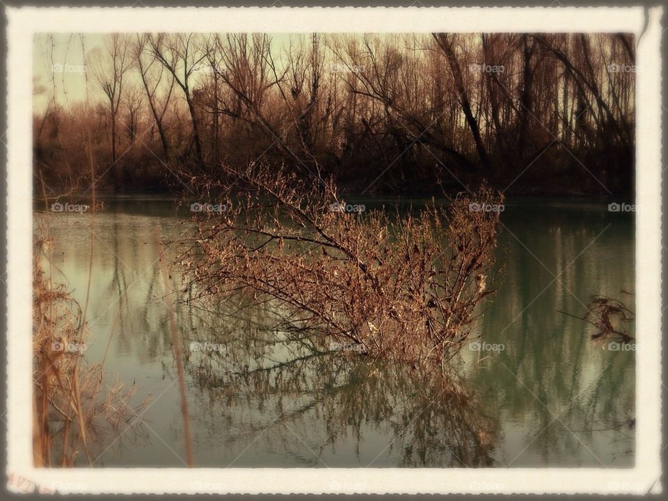 Vintage river