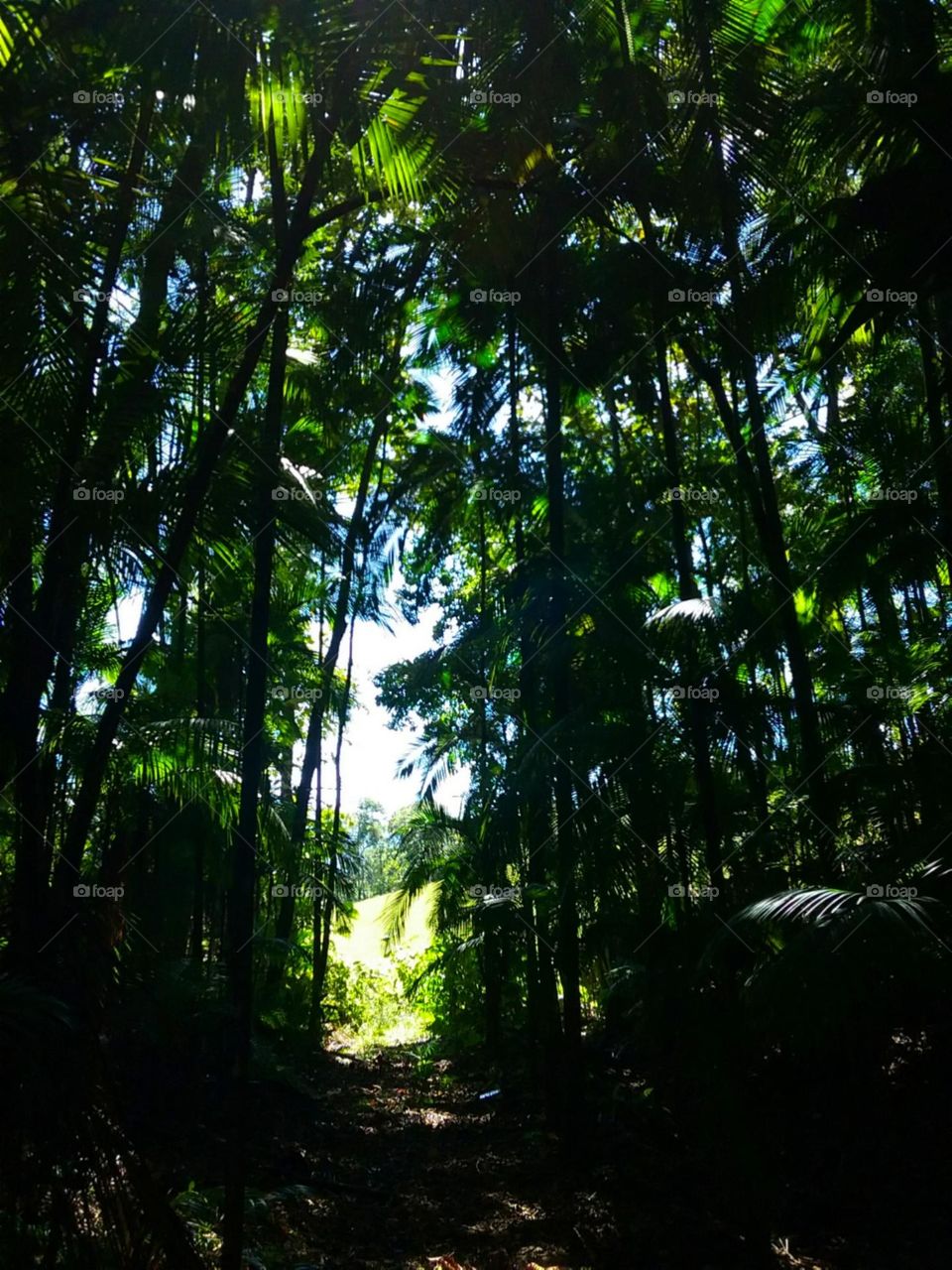 A saída para o dia la fora.