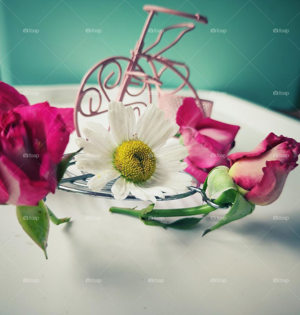 Creative-flowers