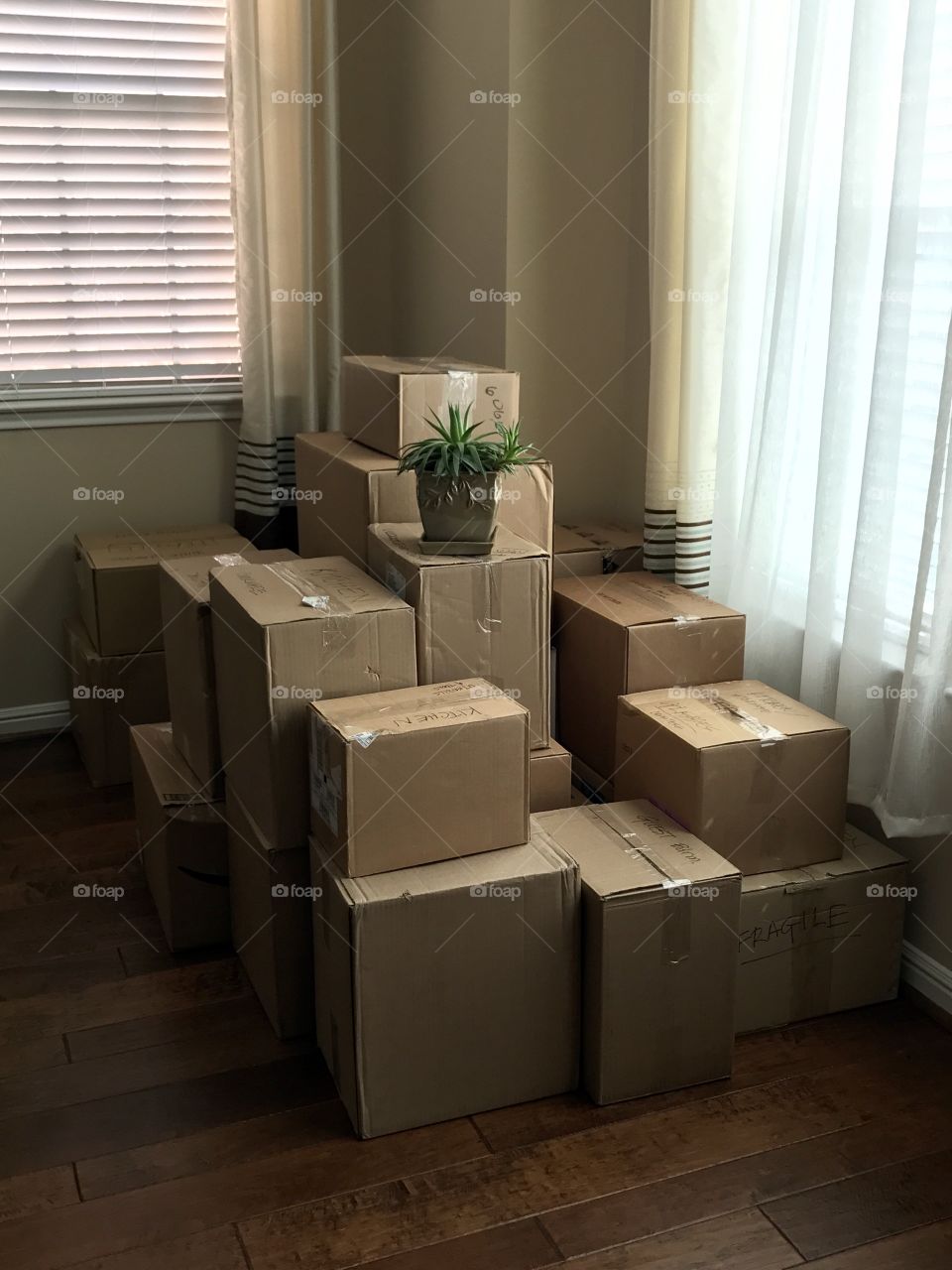 Boxes