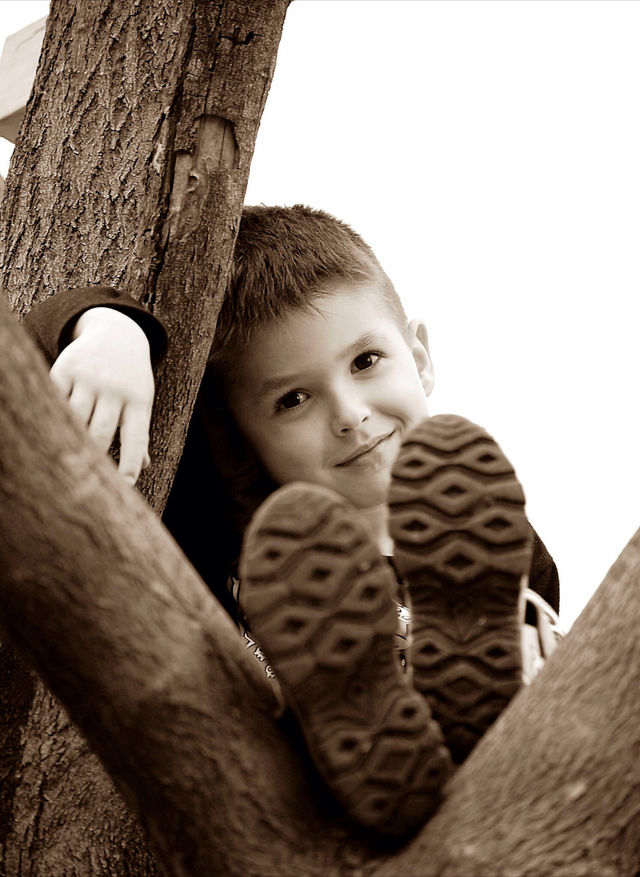 Just "Hanging out" in the tree in our backyard.