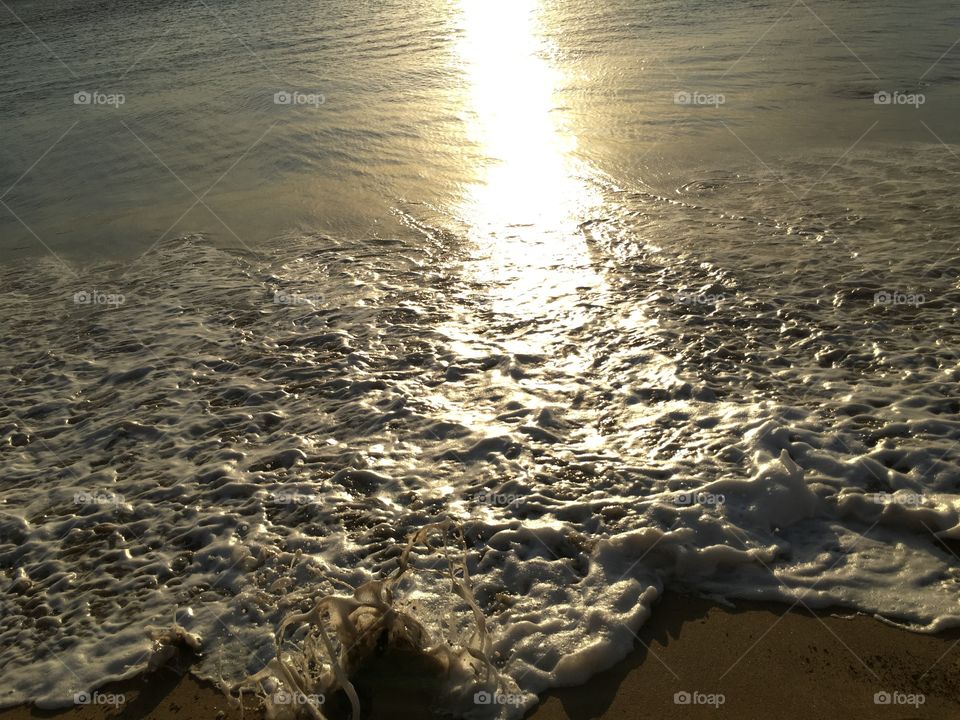 View of beach at sunset