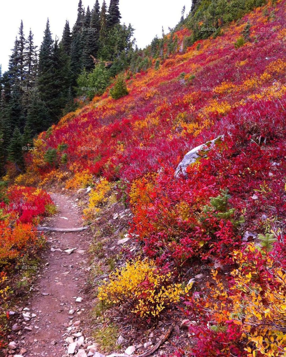 Fall along the High Divide