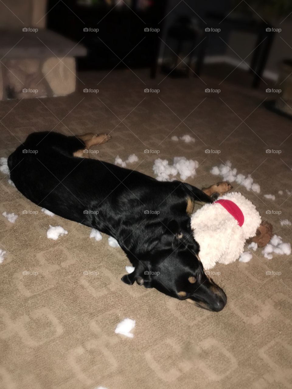 Ripping apart toys is exhausting 