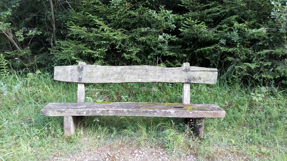 Bench