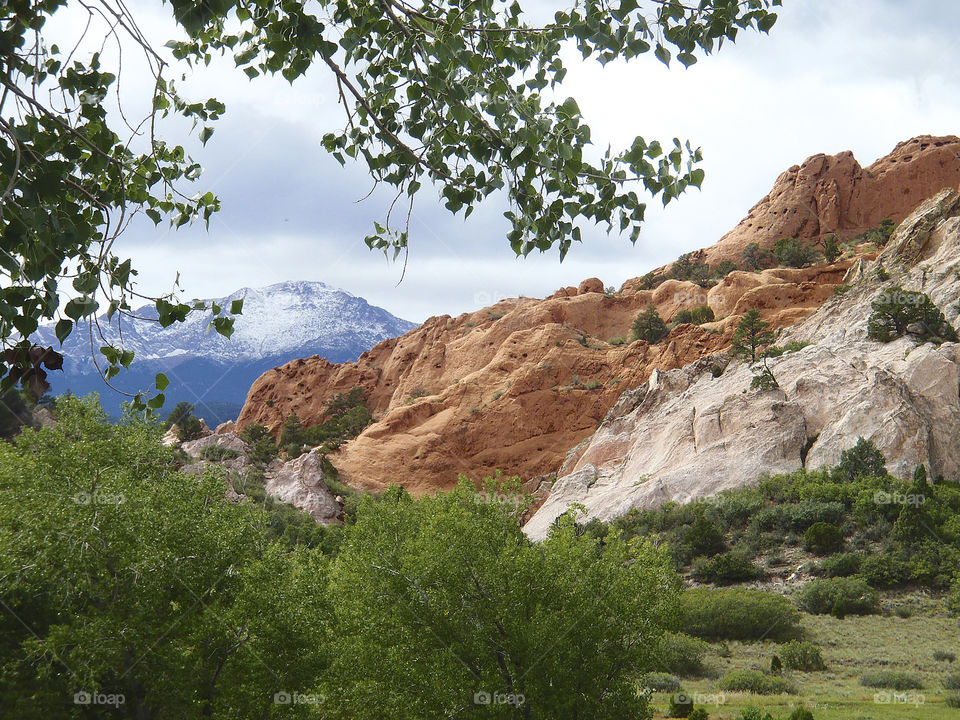 Garden of the Gods in Spring