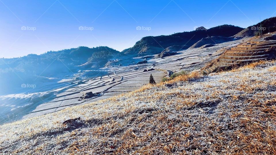 Battle:winter vs spring