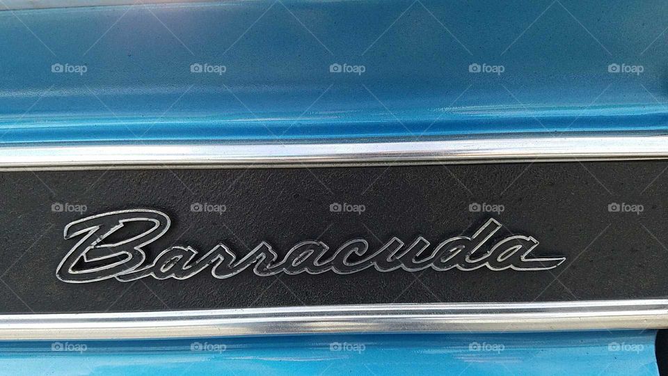 No Person, Retro, Elegant, Luxury, Business