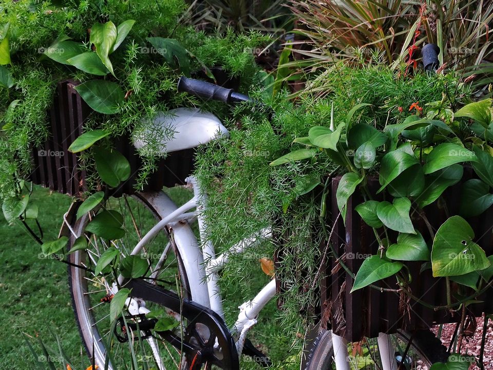 Creative Flower Planter. Old Bicycle Repurposed As A Garden Flower Planter
