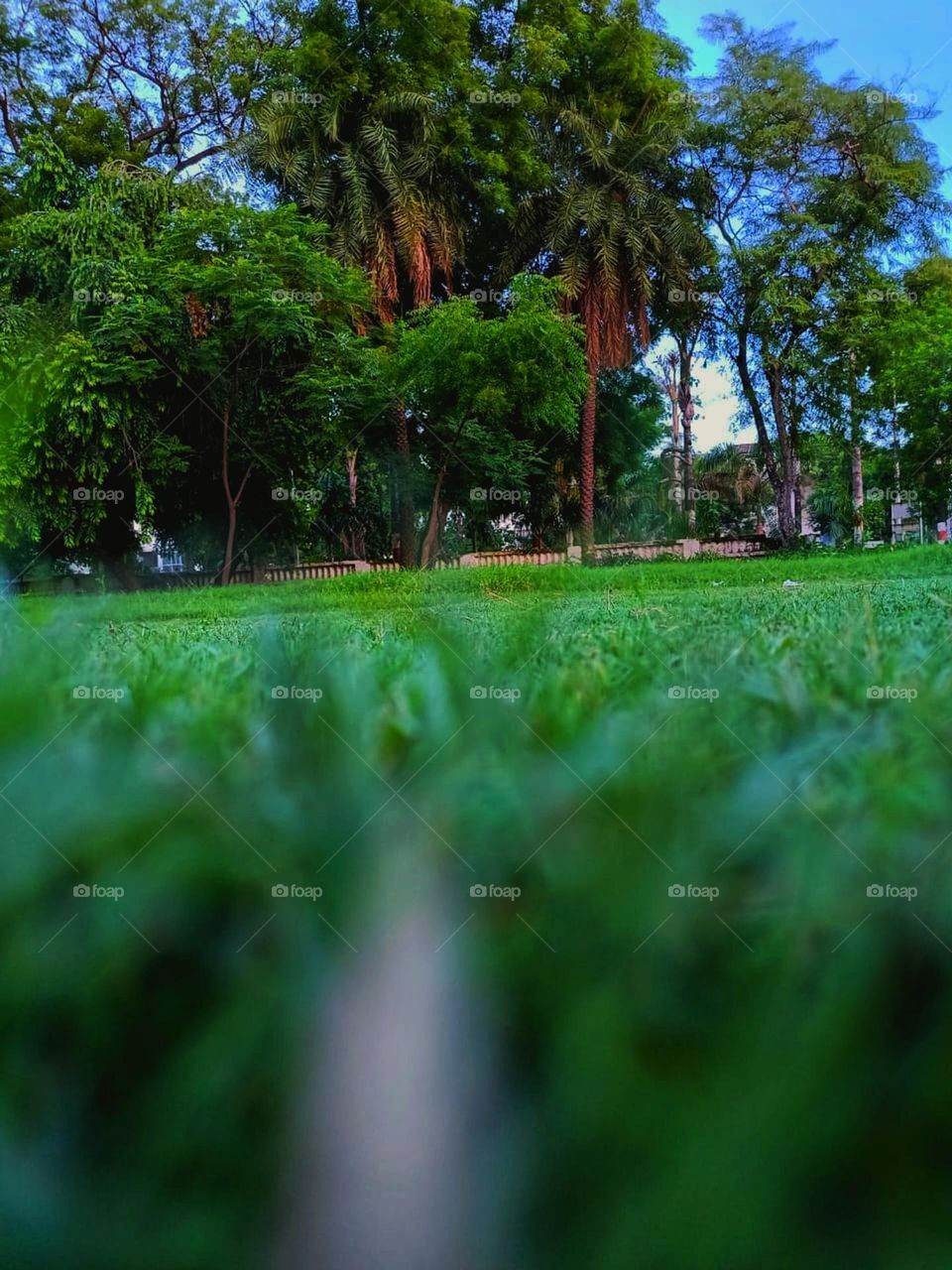 The park in the photo looks so peaceful and green! It seems like a perfect spot to relax and enjoy nature. 🌳✨