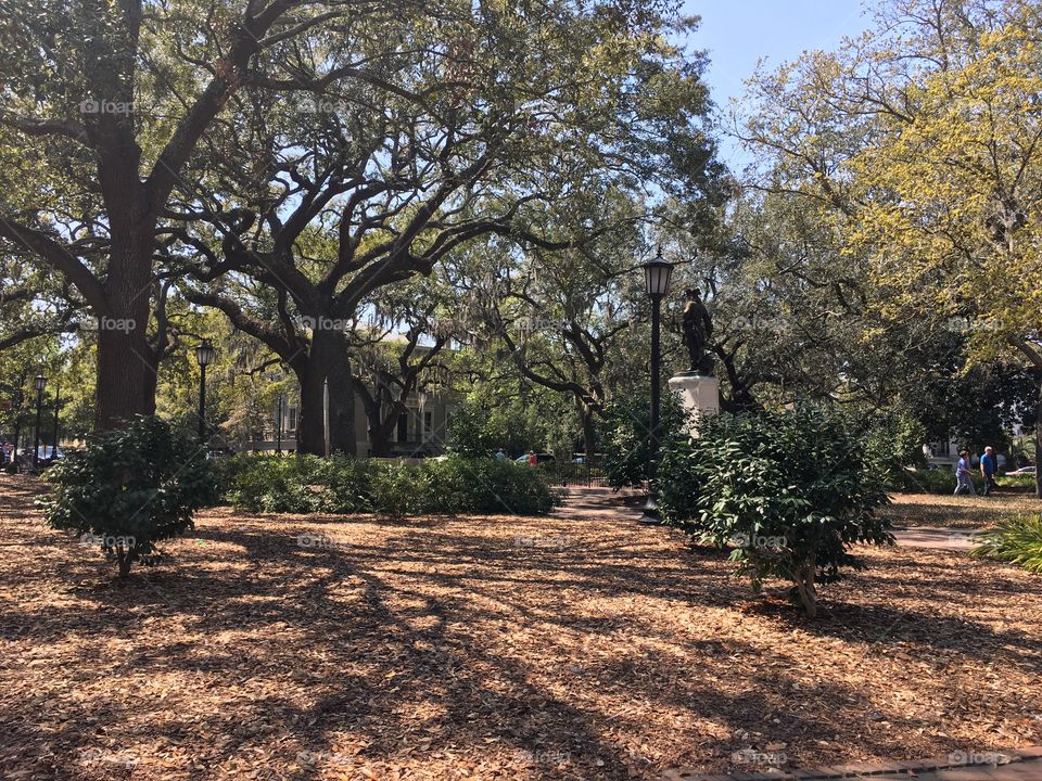 Chippewa square. Savannah, Georgia. 