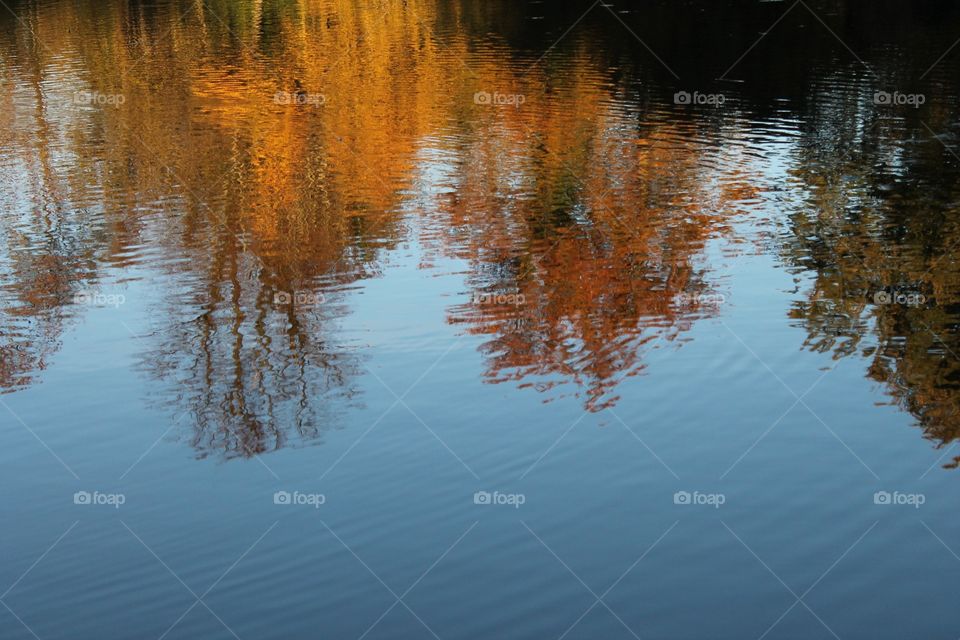 No Person, Reflection, Water, Lake, Dawn