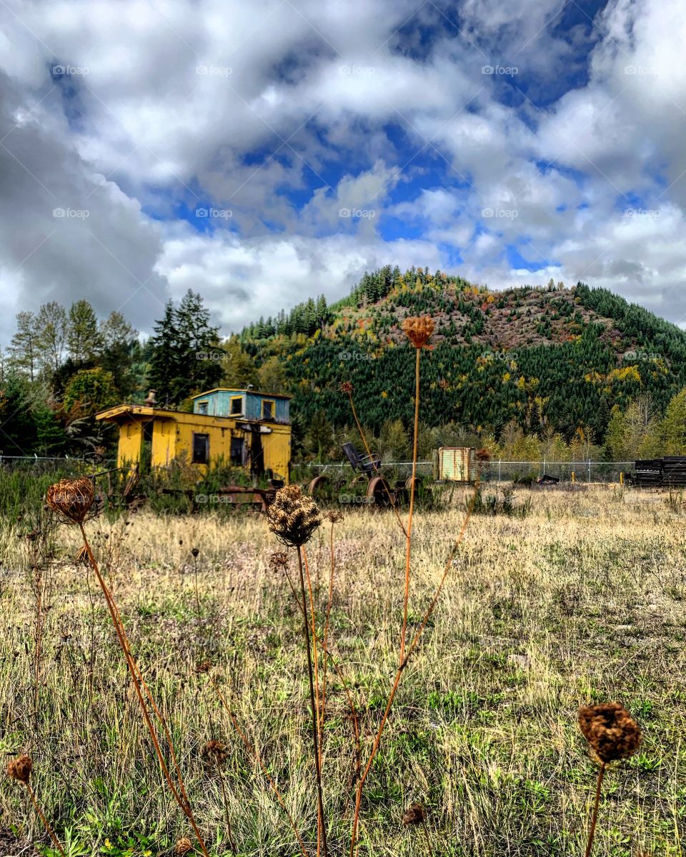 The littlest train car, abandoned in a field.. there’s something so beautiful about it. 