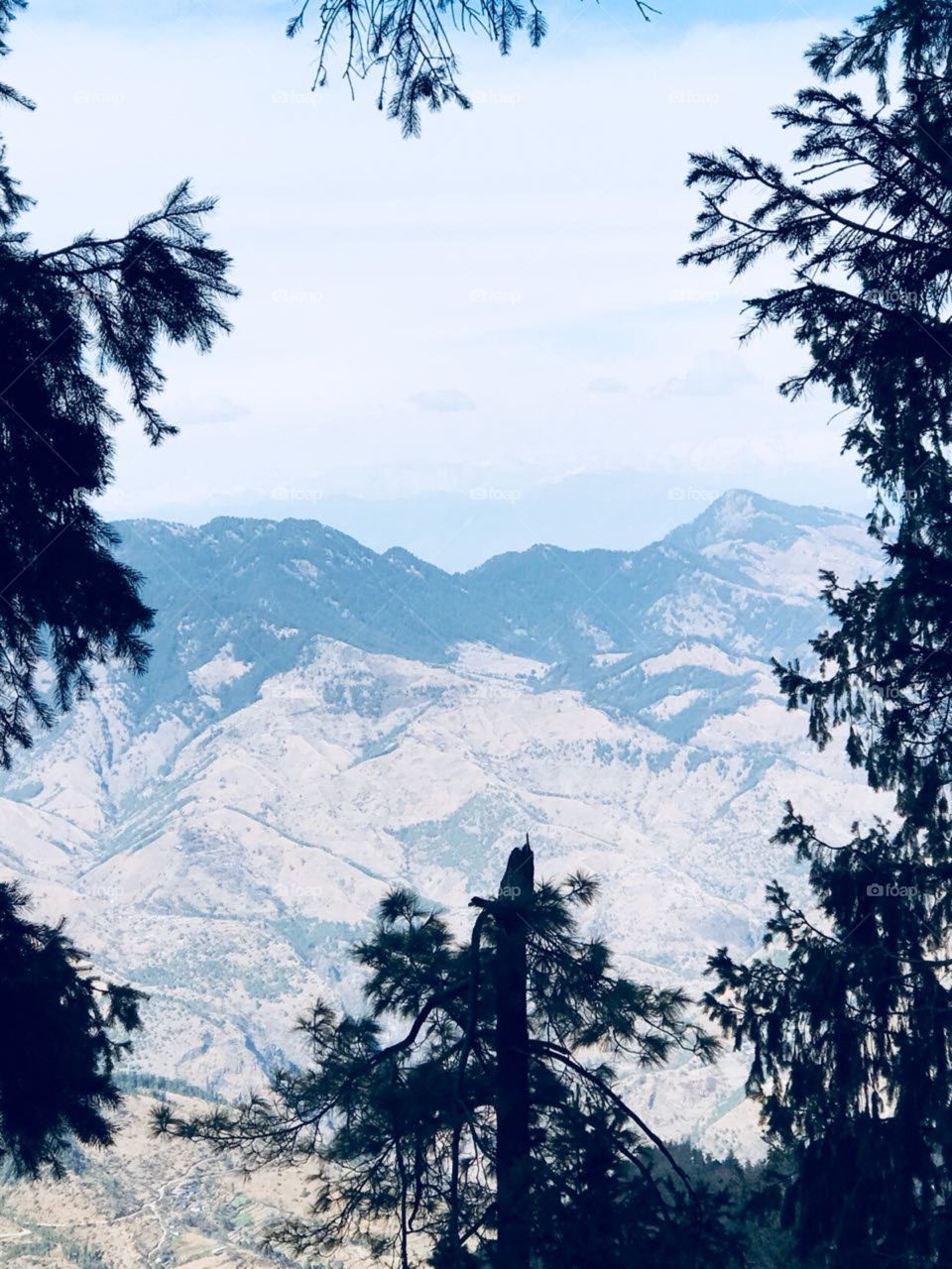 Tourist place shimla