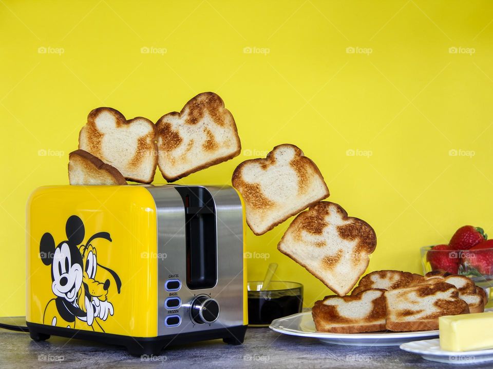 Select Brands Toaster. 