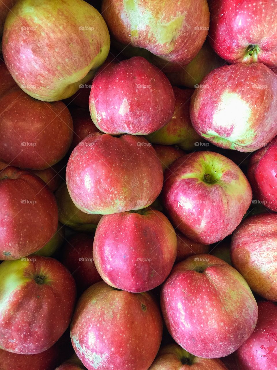 High angle view of apples