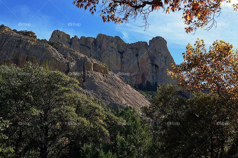 Cave Creek Canyon, AZ