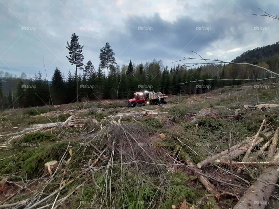picture of a komatsu forest machine