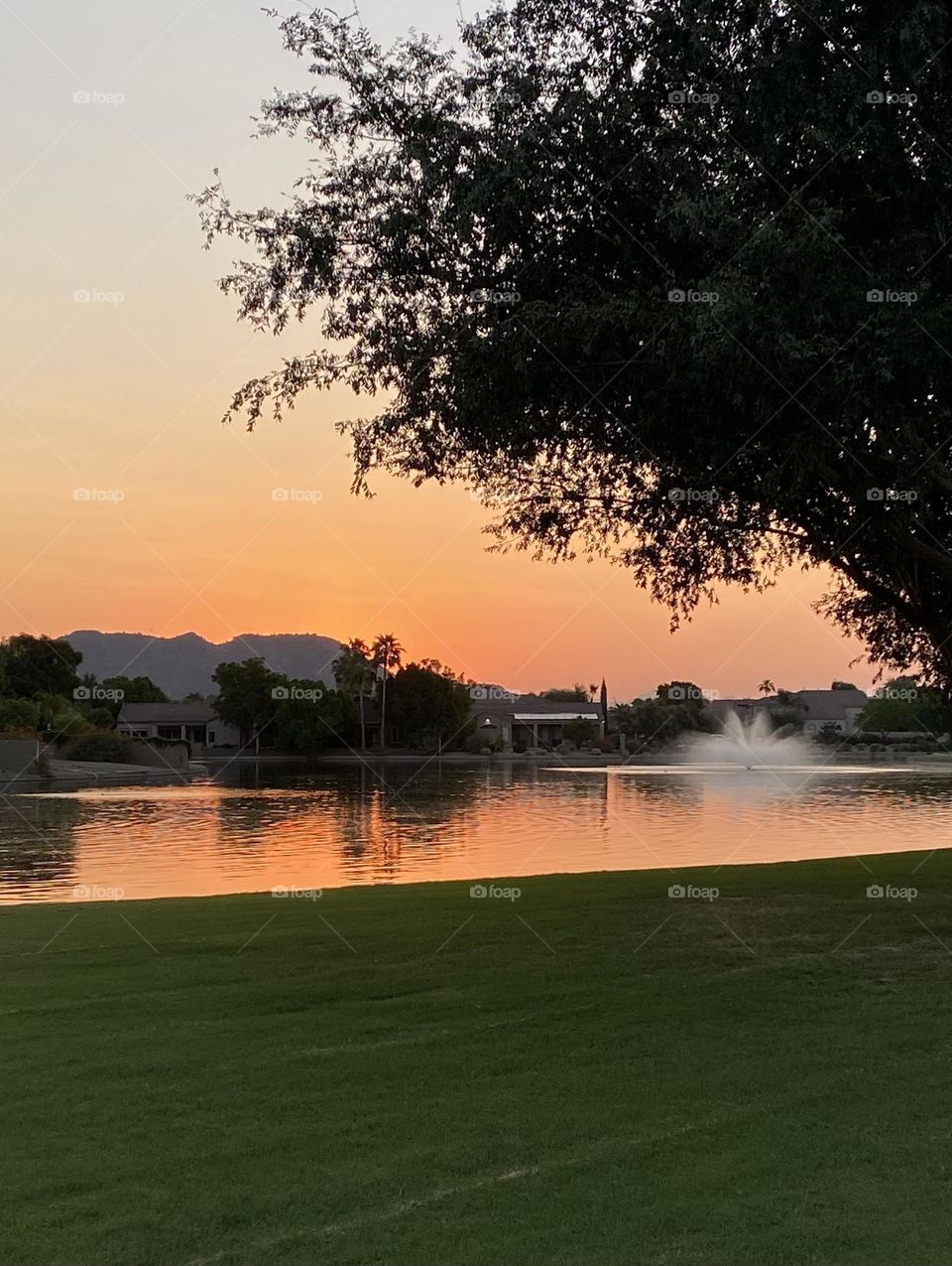 Arizona dawn