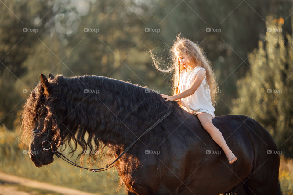 Little girl with black fresian stallion at summer evening 