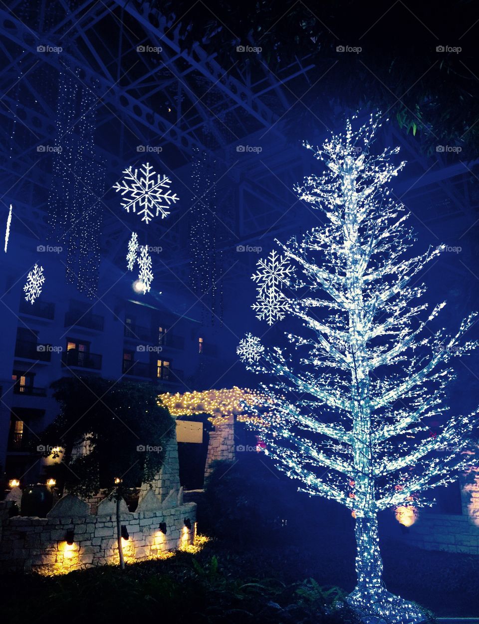 Christmas trees at the Gaylord Texan 