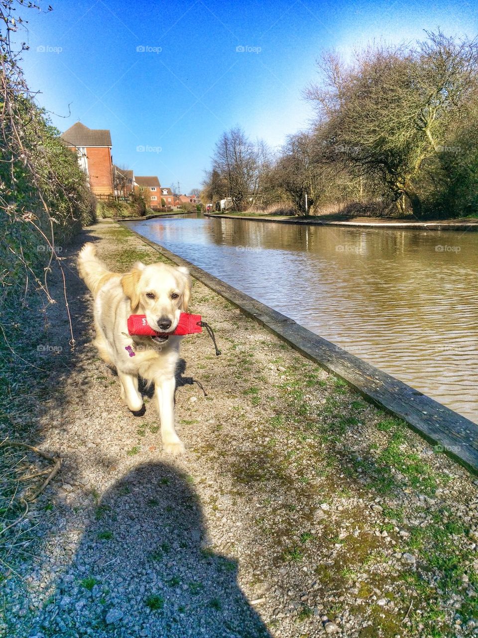 Zoe walking along the canal