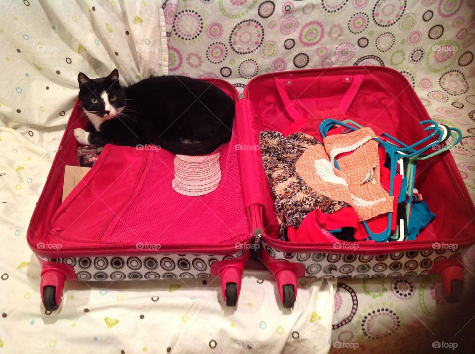 Packing