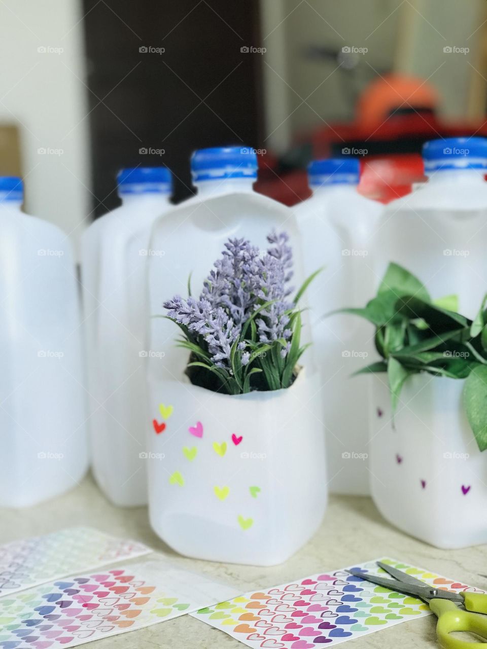 Leftover plastic milk bottles turned into a plant holders by reusing ideas.