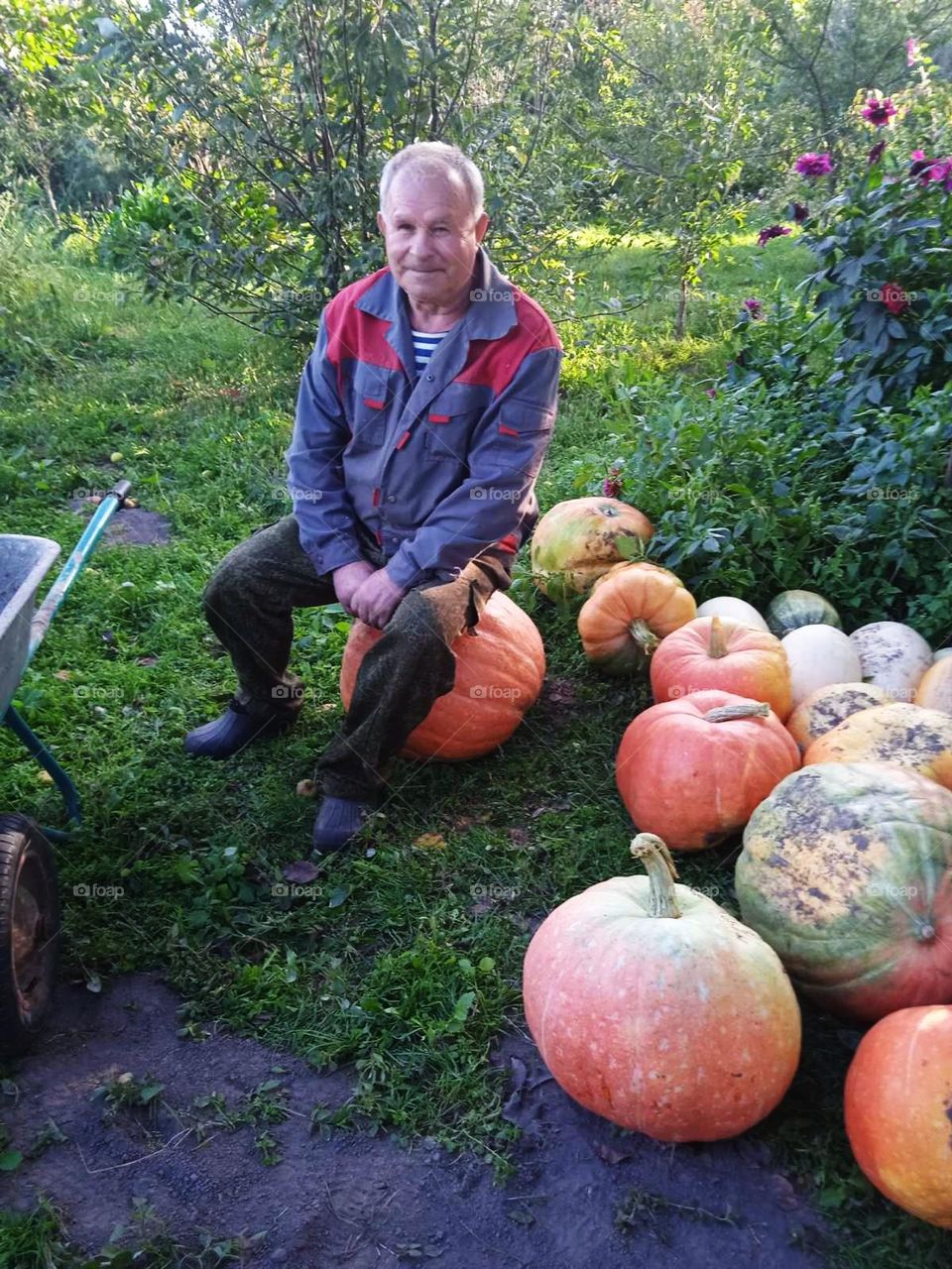 editors Choice photo