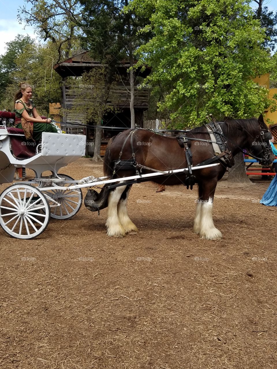 Sherwood Forest Faire pic set
