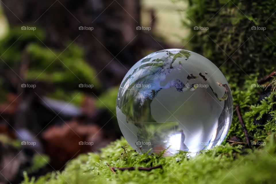 Earth globe on the grass