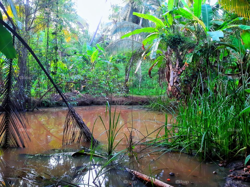 This is a Lake near a smole Forest.