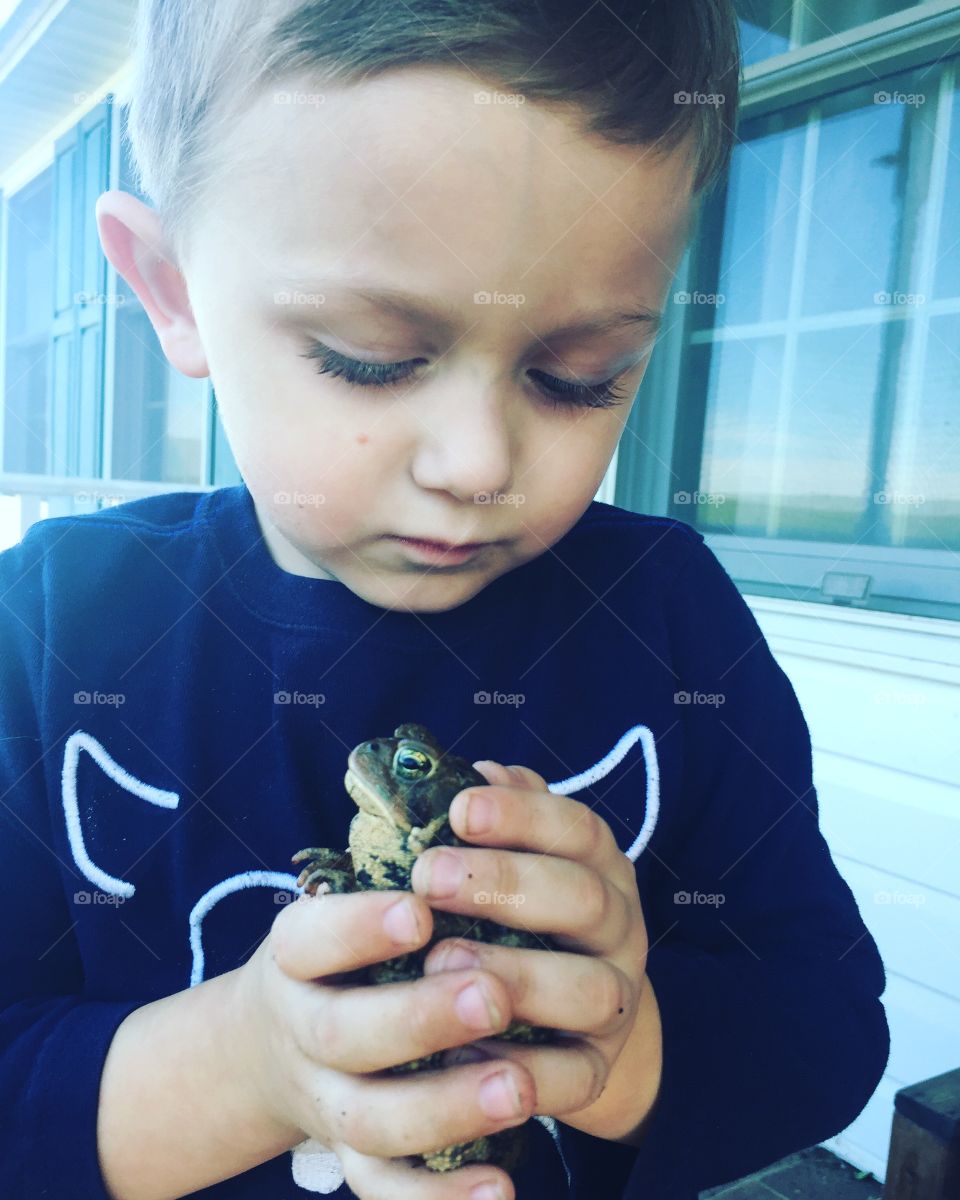 Close-up of boy holding frog