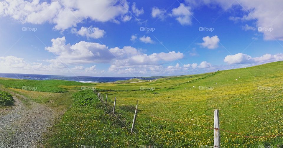 Beautiful grassy land against cloudy sky